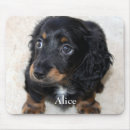 Search for dachshund puppy mousepads Pet