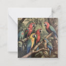 Search for parrot note cards Tropical