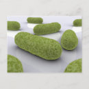 Search for infections postcards Bacteria