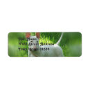 Search for bull terrier return address labels Pet