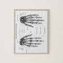 Search for phalanger Hand