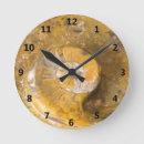 Search for fossil clocks Rock