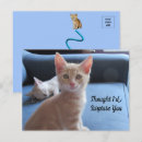 Search for surprise postcards Cat