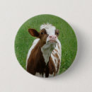 Search for dairy farm badges Cow