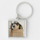 Search for enter key rings Animal