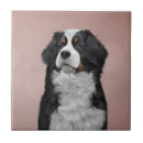 Search for mountain tiles Animals