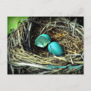 Search for nesting postcards Egg