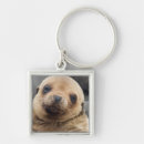 Search for galapagos islands key rings Ecuador