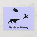 Search for german shorthaired pointers postcards Hunting