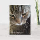 Search for funny tabby cat cards Pet