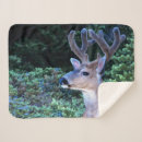 Search for danita delimont blankets Judy wild