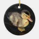 Search for duckling christmas tree decorations Baby