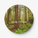 Search for temperate Rainforest
