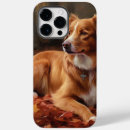 Search for nova iphone cases Pet