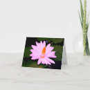 Search for monet cards Lily