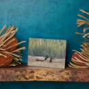 Search for danita delimont plaques Woodland