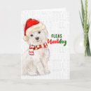 Search for highland christmas cards Pets