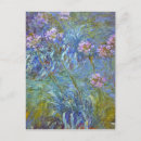 Search for agapanthus postcards Claude monet