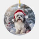 Search for havanese christmas tree decorations Puppy