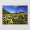 Search for praire Scenic