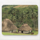 Search for vitis Melanesia