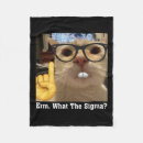 Search for kitten blankets Aesthetic