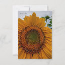 Search for bee vertical note cards Botanical