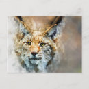 Search for wild cats postcards Nature
