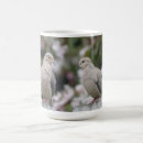 Search for mourning dove mugs Zenaida macroura