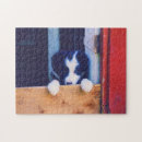 Search for cute border collie puzzles Puppy