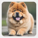 Search for chow chow crafts party Puppy