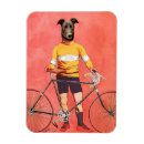 Search for greyhound magnets Bike