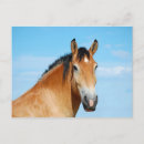 Search for headshot postcards Horse