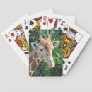 Search for giraffe playing cards Wild animal