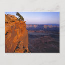 Search for late light Canyon