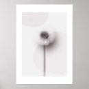 Search for rays art Minimalist