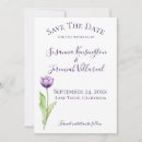 Search for tulip save the dates Purple