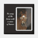 Search for foal magnets Horse