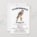 Search for prey invitations Hawk