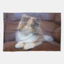 Search for calico tea towels Pet