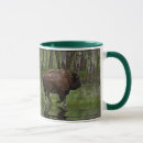 Search for bull horns mugs Wildlife