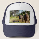 Search for emu hats Wildlife