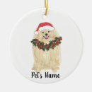 Search for pomeranian christmas tree decorations Santa