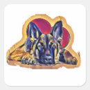 Search for black german shepherd stickers Alsatian