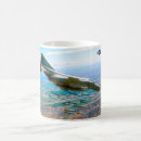 Search for f 4 phantom mugs Jet