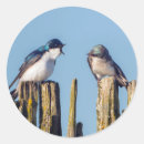 Search for gary stickers Nature