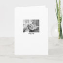 Search for american shorthair cards Kitty