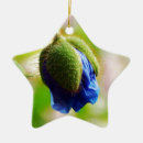 Search for poppy christmas tree decorations Summer