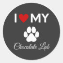 Search for labs stickers Pets