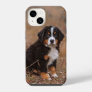 Search for bernese mountain dog puppy iphone cases Canine